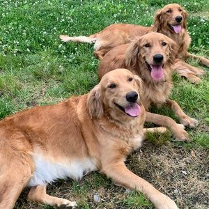 Meet your Posher, Holly